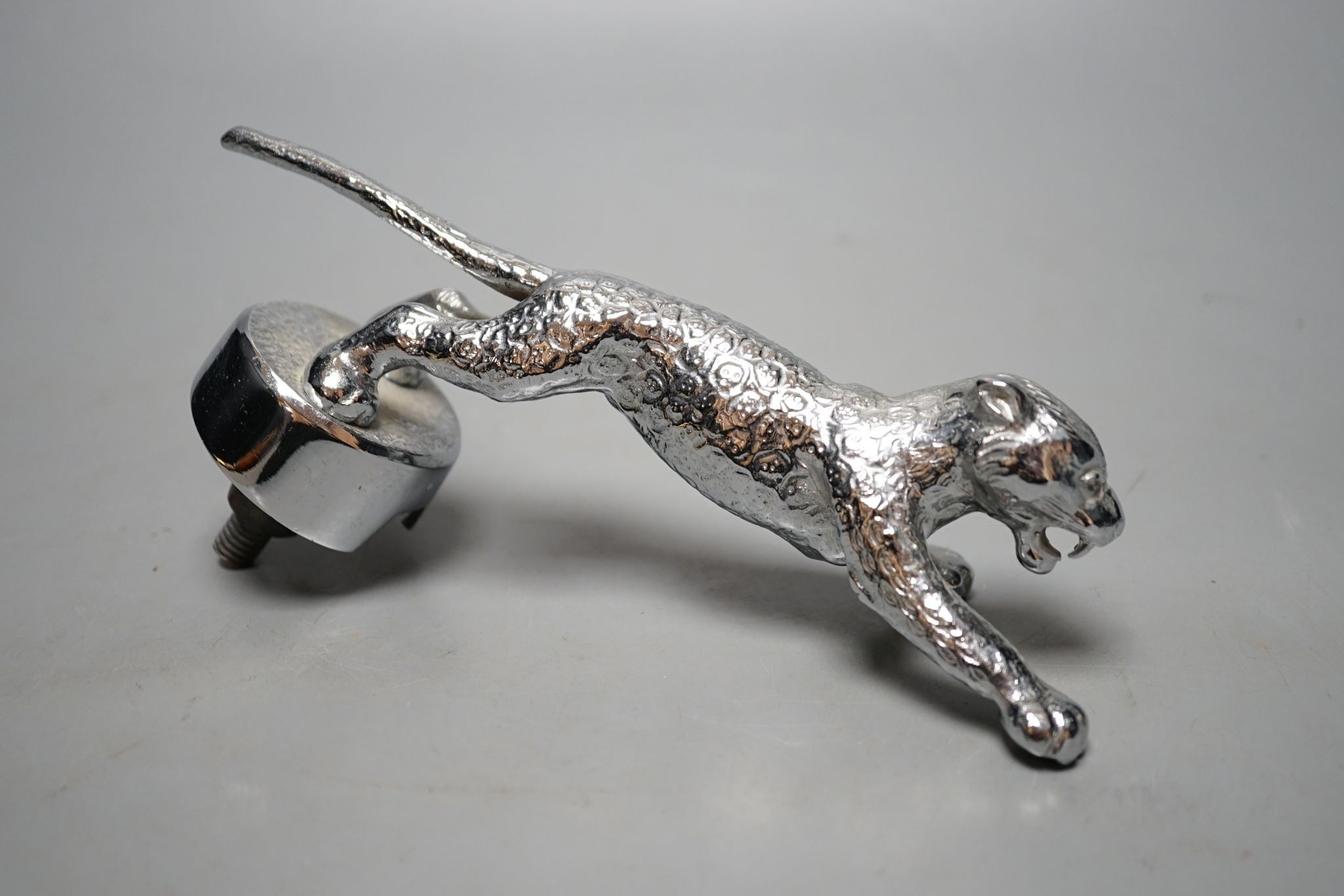 A chrome jaguar car mascot, no.521, in labelled original box, 19 cms long.